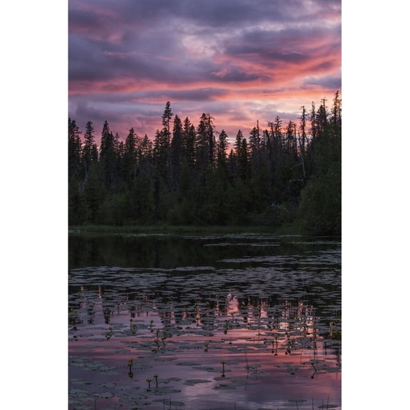 Sunset over a small beaver pond along the Yellowhead Highway near Smithers; British Columbia Canada Print