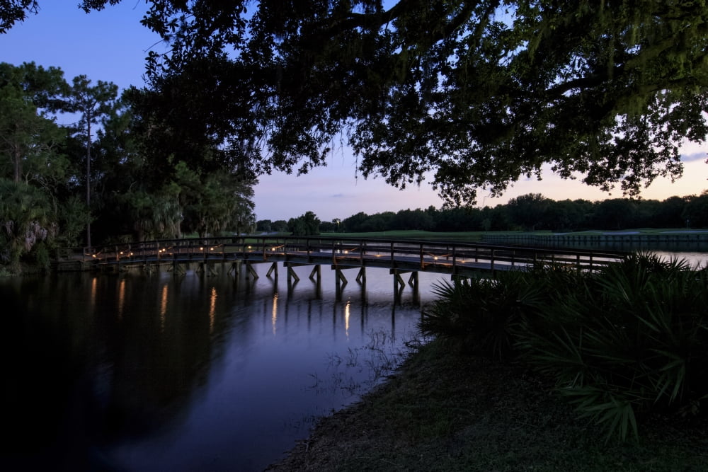 Sunset over golf course in Sarasota Sarasota County Florida USA Canvas Art - Panoramic Images (27 x 9)