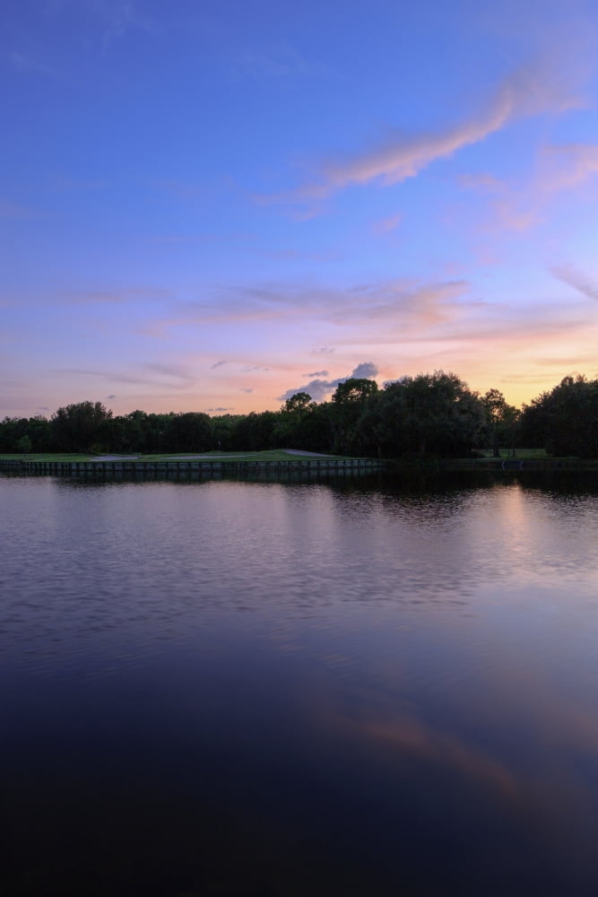 Sunset over golf course in Sarasota Sarasota County Florida USA Canvas Art - Panoramic Images (27 x 9)