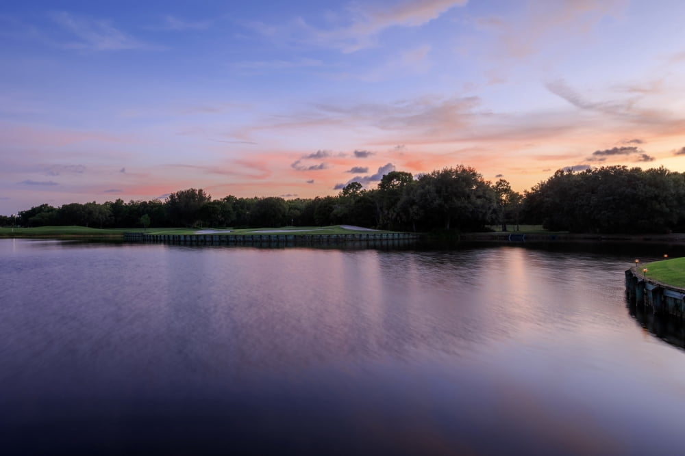 Sunset over golf course in Sarasota Sarasota County Florida USA Canvas Art - Panoramic Images (36 x 12)