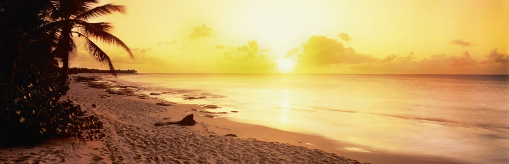 Sunset over sea Sint Maarten Netherlands Antilles Canvas Art - Panoramic Images (36 x 12)