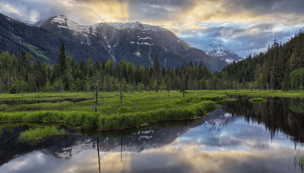 Sunset over the Tongass National Forest near Hyder Alaska USA Canvas Art - Robert Postma Design Pics (20 x 11)