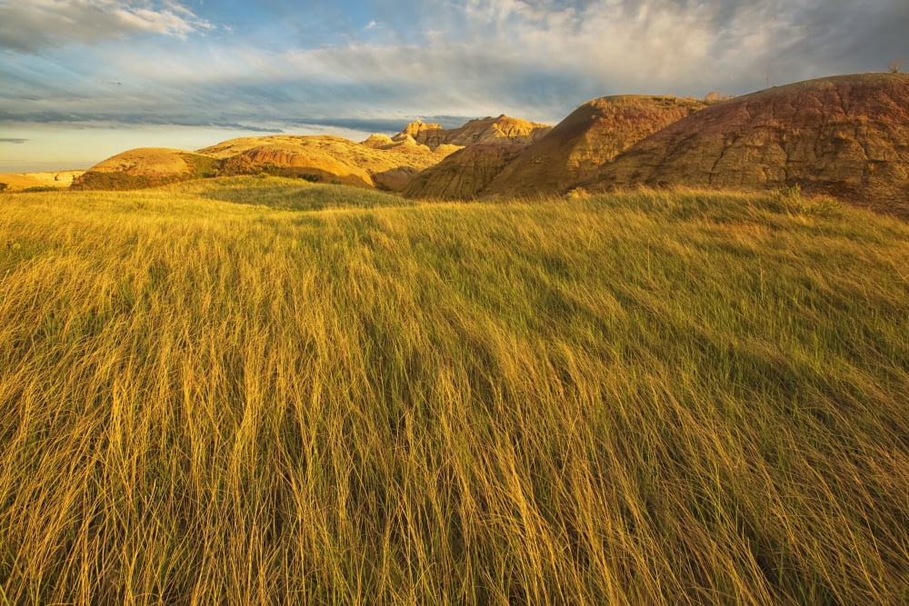 Sunset over the blowing grass and mud formations in badlands national park south dakota usa Canvas Art - Robert Postma Design Pics (19 x 12)