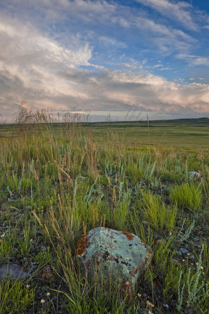 Sunset over the prairies in Grasslands National Park Saskatchewan Canada Canvas Art - Robert Postma Design Pics (11 x 17)