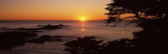 Sunset over the sea Point Lobos State Reserve Carmel Monterey County California USA Canvas Art - Panoramic Images (36 x 12)