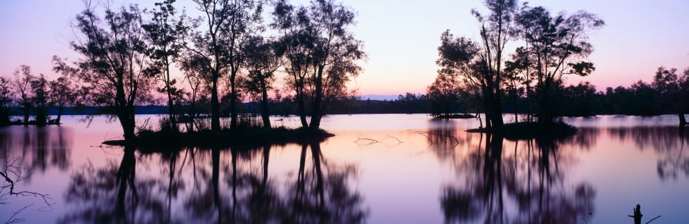 Sunset over wildlife refuge of Lake Fausse Pointe State Park Louisiana Canvas Art - Panoramic Images (27 x 9)