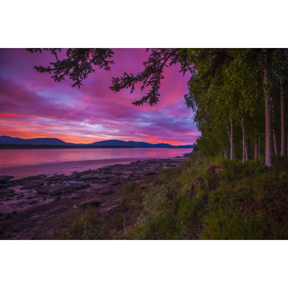 Sunset/sunrise in early June on the Yukon River in summer; Alaska, United States of America by Amber Johnson / Design Pics (19 x 12)