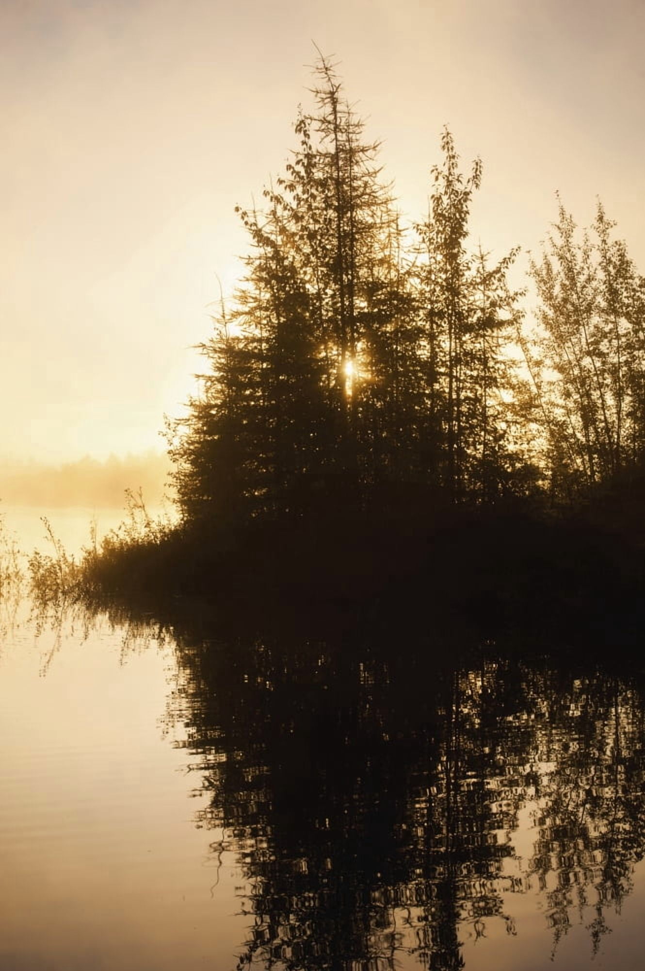 Sunset view of trees reflected in Chena Lake Delta Junction Interior Alaska Canvas Art - Remsberg Inc  Design Pics (12 x 19)