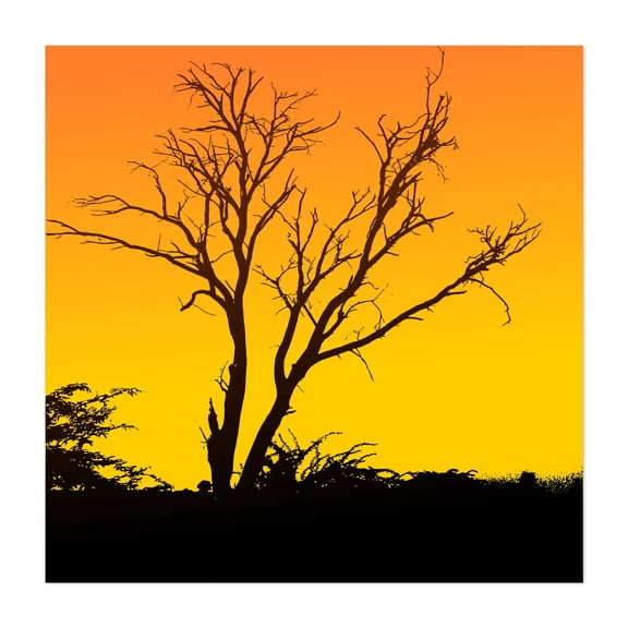 Sunset with Tree Silhouette - Digital Art Silhouette Sunset Nature Minimalist Landscape Scenic Unframed Wall Art Print 20 x 20 inches