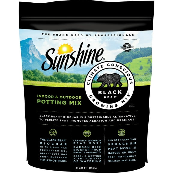 Sunshine Black Bear 8 QT