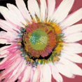 thumbnail image 1 of Sunshine Flower I Poster Print by Leslie Bernsen-VARPDXBLP255, 1 of 2