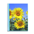 thumbnail image 1 of Sunshine Flowers Sunflowers Blue Sky Book Sheet Protectors Portfolio Binder Folder, 1 of 3