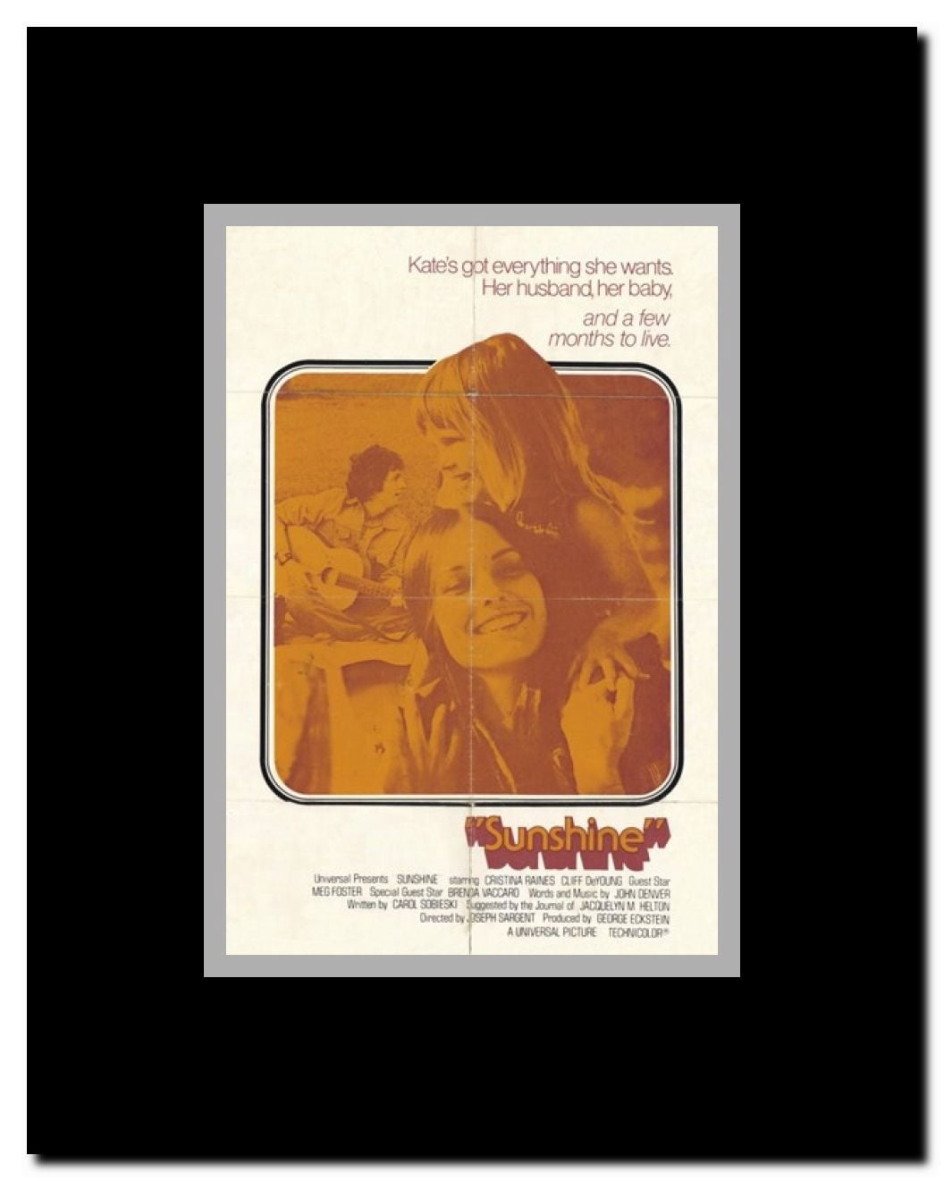 Sunshine Framed Movie Poster