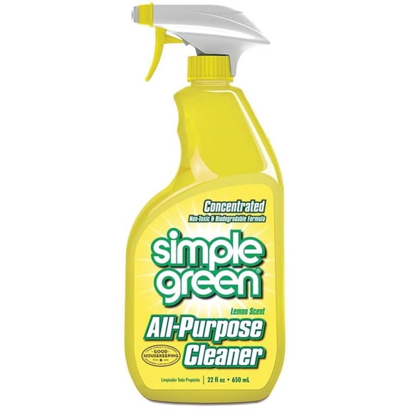 CLEANER ALL PRPS LMON SCT 22OZ