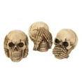 thumbnail image 1 of Zingz and Thingz See Hear Speak Skulls Trio, 1 of 2
