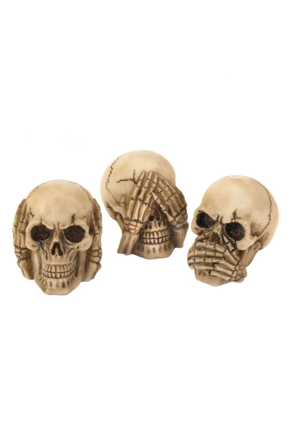 Zingz and Thingz See Hear Speak Skulls Trio