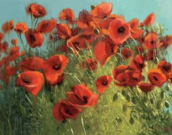 Sunshine and Raindrops Canvas Art - Shirley Novak (22 x 28)