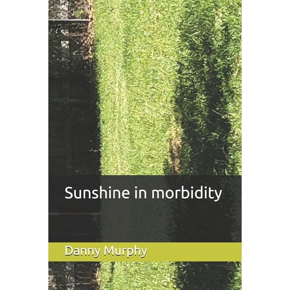 Sunshine in morbidity (Paperback)