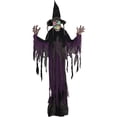 thumbnail image 1 of Sunstar Creepy Witch Light-Up Hanging Halloween Decoration - 72 in x 55 in, 1 of 1
