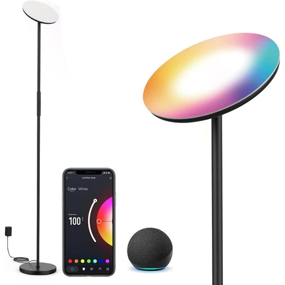 Sunthin Smart 63” 1-Light RGB Floor Lamp with Up-Down Lighting