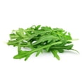 thumbnail image 1 of Sunutri Seeds 250 Arugula Eruca Sativa Plant Seeds, Non-GMO, 1 of 1