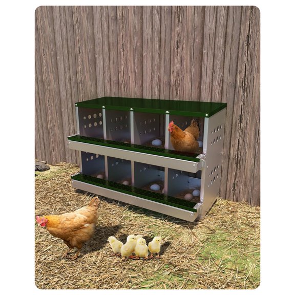 Sunvasagoo Galvanized Steel Chicken Nesting Box 8-Hole w/ Roll-Away Eggs & Training Eggs