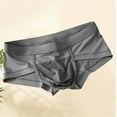thumbnail image 1 of Sunvit-Panties Young Mens Cotton Blend Trunk Underwear - Breathable Mesh Pouch, Chafe-Free Stretch, Dark Gray, Size M, 1 of 3
