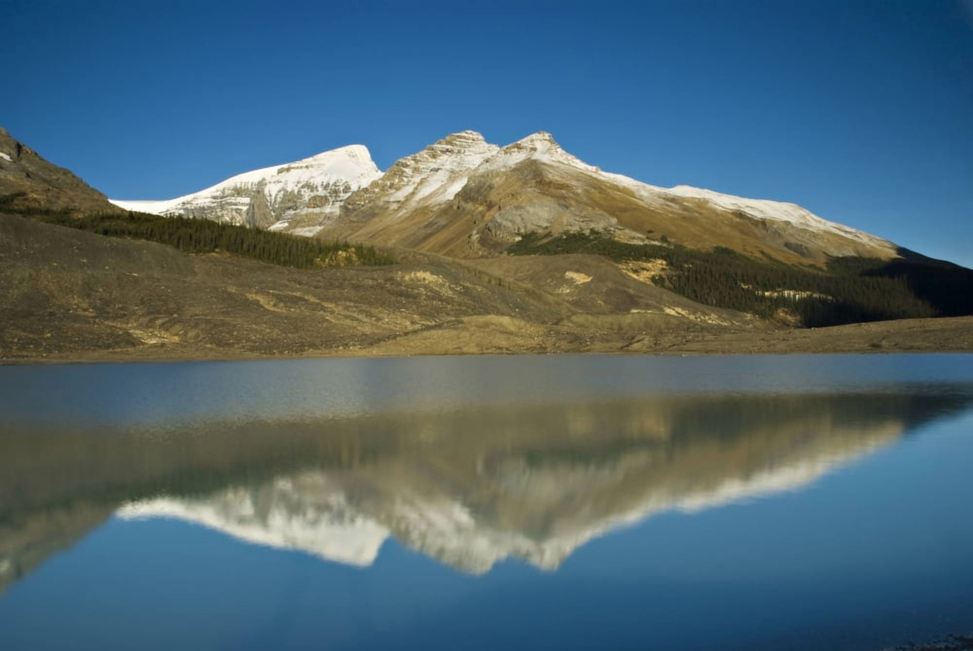 Sunwapta Lake Jasper National Park Alberta Canada Canvas Art - Philippe Widling Design Pics (17 x 11)