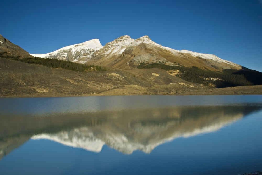 Sunwapta Lake Jasper National Park Alberta Canada Canvas Art - Philippe Widling Design Pics (34 x 22)