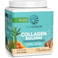 thumbnail image 1 of Sunwarrior Collagen Vegan Protein Powder with Biotin & Hyaluronic Acid, Churro Flavor, 1.1 lbs, 1 of 8