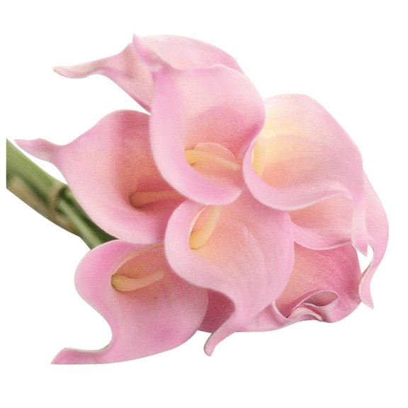 Sunxin Calla Lily Artificial Decorative Artificial Flower, Single Color 10Pc Pink10Pc Artificial Flower Latex Real Bridal Wedding Bouquet Home Decoration