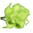 thumbnail image 1 of Sunxin Green Calla Lily Artificial Decorative Artificial Flower, Single Color 10Pc10Pc Artificial Flower Latex Real Bridal Wedding Bouquet Home Decoration, 1 of 5