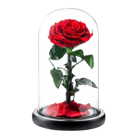 Sunxin Roses Gift for Her Birthday Gifts for Women Colorful Artificial Flower Rose Gift Light Up Rose in A Glass Dome Mom Gifts Unique Love Gifts for Mom Women Mom Gift for Mothers Day
