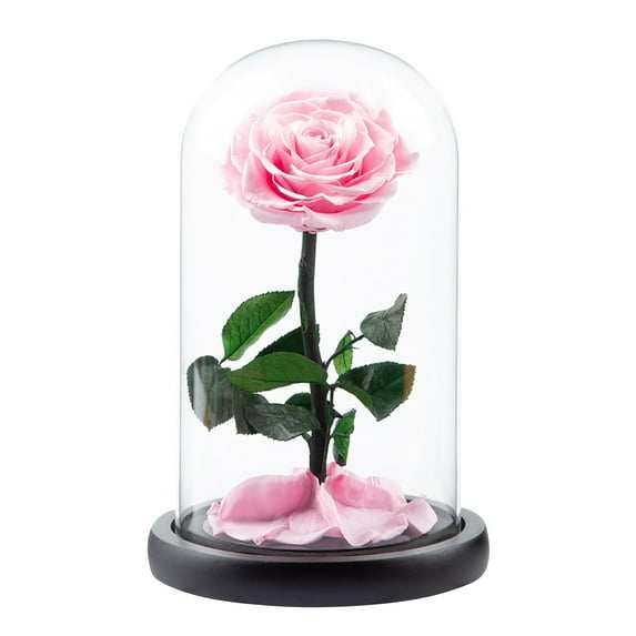 Sunxin Roses Gift for Her Birthday Gifts for Women Colorful Artificial Flower Rose Gift Light Up Rose in A Glass Dome Mom Gifts Unique Love Gifts for Mom Women Mom Gift for Mothers Day