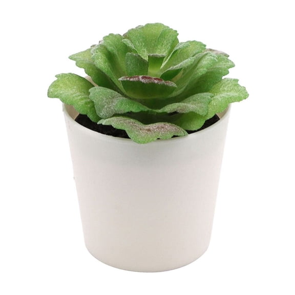 Sunxin Simulated Potted Plant Kuguisu Small Mini Plants Succulents Artificial Succulents Plastic Simulation Plants Pots Bathroom Farmhouse Cubicle Decoration.