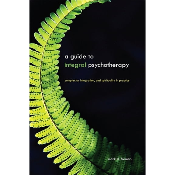 Suny Integral Theory A Guide to Integral Psychotherapy: Complexity, Integration, and Spirituality in Practice, (Paperback)