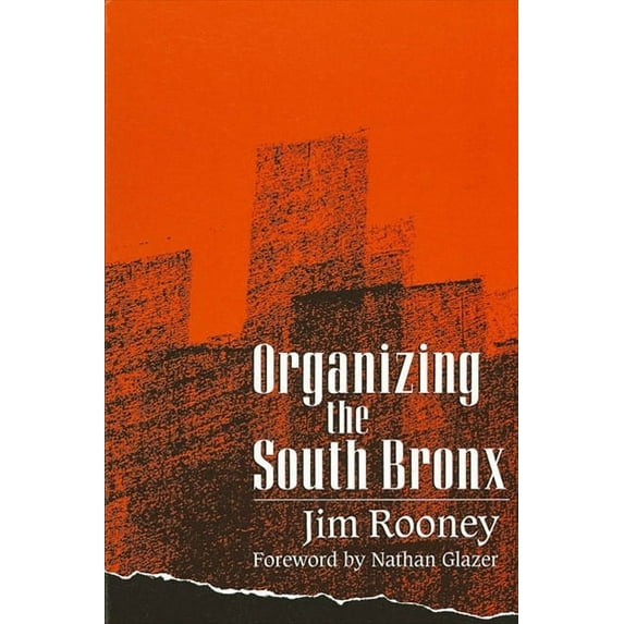 Suny Series, the New Inequalities: Organizing the South Bronx (Paperback)