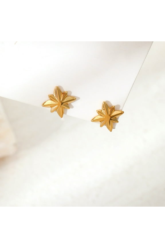 Star Stud Earrings for Women Teen Trendy Hypoallergenic Small Post Pierced Studs Earring Jewelry Gifts