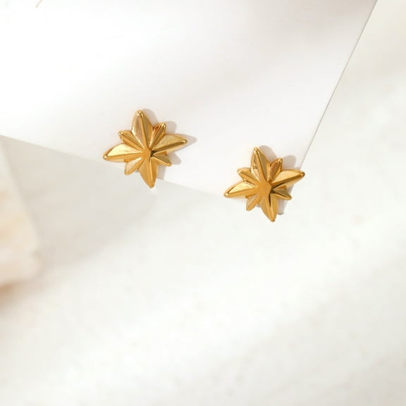 Sunyuer Star Stud Earrings for Women Teen Trendy Hypoallergenic Small Post Pierced Studs Earring Jewelry Gifts