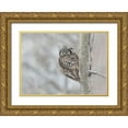 thumbnail image 1 of Suo, Jasmine 18x14 Gold Ornate Wood Framed with Double Matting Museum Art Print Titled - Northern Hawk Owl Look Back, 1 of 4