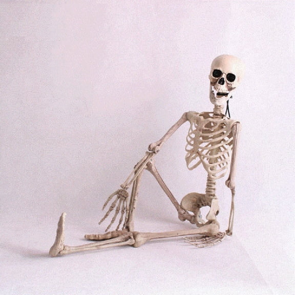WJSXC Halloween Skeleton Decorations, 2.3 Ft Posable Joints Skeleton Decor, Lifelike Skeleton Model, for Halloween Home Decor Indoor Outdoor Scene Party Favors Toys Gifts