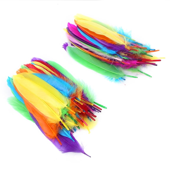 Suodoka 100PCS Colorful Craft Feathers Assorted Colors DIY Material for Kindergarten Handicrafts Paste Decoration Children's Handmade Art Supplies Projects (8.66 inches / 22 cm Length)