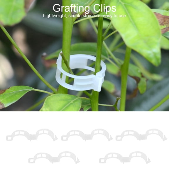 Suodoka 100Pcs Vegetable Fruit Tree Seedling Nursery Plastic Grafting Clips Plants Gardening Tools, Transparent Plant Cage Support Clip, Inner Diameter 0.98 inches / 25 mm