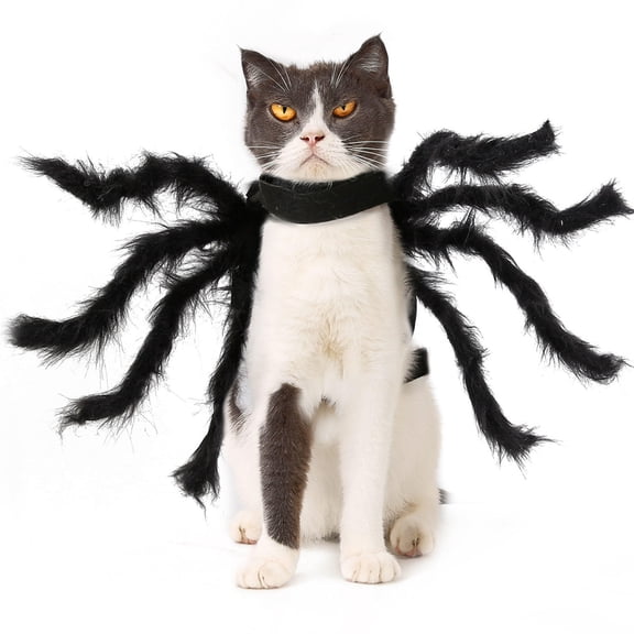 Suodoka Halloween Spider Costume for Small Dogs & Cats, Black, 8-Fluffy-Leg Pet Party Outfit, Quick-Fastening Tape, Polyester