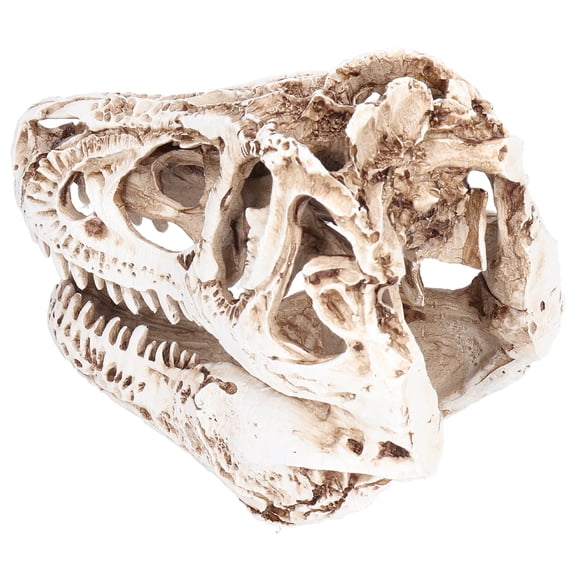 Suodoka Resin Dinosaur T-Rex Skull Ornament Decorative Specimen Statue for Home Office Study Room Desktop Bookshelf, Halloween Christmas Holiday Decor, 5.9 x 4.7 x 3.3 inches / 15 x 12 x 8.5 cm