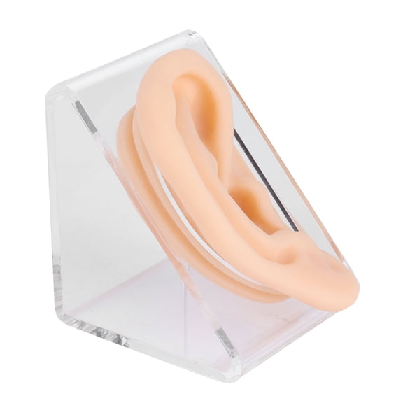Suodoka Soft Silicone Ear Model Simulation Ear Acupuncture Practice Model for Hospital Display, 5.51 inches / 14 cm