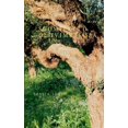 thumbnail image 1 of Suomitytto Oliivimetsassa, 1 of 1