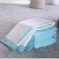 thumbnail image 1 of Super Absorbent Pet Diaper Training Pee Pads Urine Nappy Mat Cats Dog Diapers Mat Disposable Quickdry Clean Cushion Pet Supplies, 1 of 7