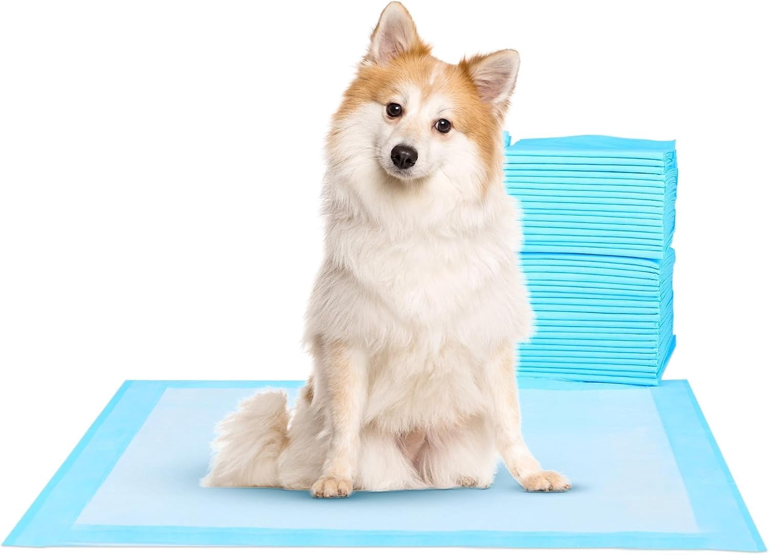 Super Absorbent Waterproof Dog and Puppy Pet Training Pad, Housebreaking Pet Pad, 40-Count Small-Size, 22"x22", Blue