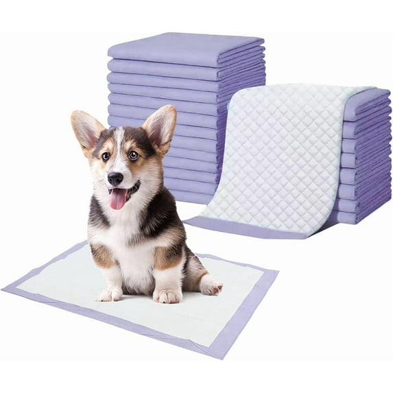 Super Absorbent Waterproof Dog and Puppy Pet Training Pad, Housebreaking Pet Pad, Small-Size, 17.6’’X23.6’’ - 100 Count, Blue